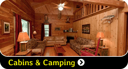Cabins & Camping
